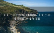 钉钉小学生签到打卡指南，钉钉小学生签到打卡操作指南