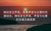 微信定位声音，探索声音与位置的完美结合，微信定位声音，声音与位置的完美交融探索