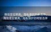 微信定位禁用，隐私保护的新选择，微信定位禁用，隐私保护的明智选择