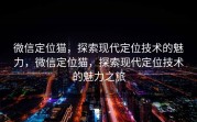 微信定位猫，探索现代定位技术的魅力，微信定位猫，探索现代定位技术的魅力之旅