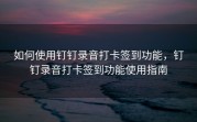 如何使用钉钉录音打卡签到功能，钉钉录音打卡签到功能使用指南