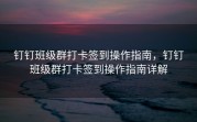 钉钉班级群打卡签到操作指南，钉钉班级群打卡签到操作指南详解