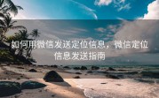 如何用微信发送定位信息,微信定位信息发送指南