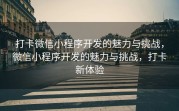 打卡微信小程序开发的魅力与挑战，微信小程序开发的魅力与挑战，打卡新体验