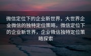 微信定位下的企业新世界，大世界企业微信的独特定位策略，微信定位下的企业新世界，企业微信独特定位策略探索