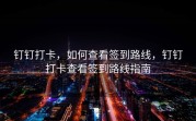 钉钉打卡，如何查看签到路线，钉钉打卡查看签到路线指南