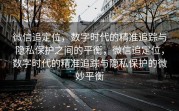 微信追定位，数字时代的精准追踪与隐私保护之间的平衡，微信追定位，数字时代的精准追踪与隐私保护的微妙平衡