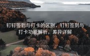 钉钉签到与打卡的区别，钉钉签到与打卡功能解析，差异详解