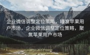 企业微信调整定位策略，瞄准苹果用户市场，企业微信调整定位策略，聚焦苹果用户市场