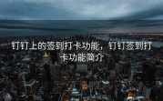 钉钉上的签到打卡功能，钉钉签到打卡功能简介