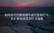 如何在钉钉群视频中进行签到打卡，钉钉群视频签到打卡指南