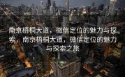 南京梧桐大道，微信定位的魅力与探索，南京梧桐大道，微信定位的魅力与探索之旅