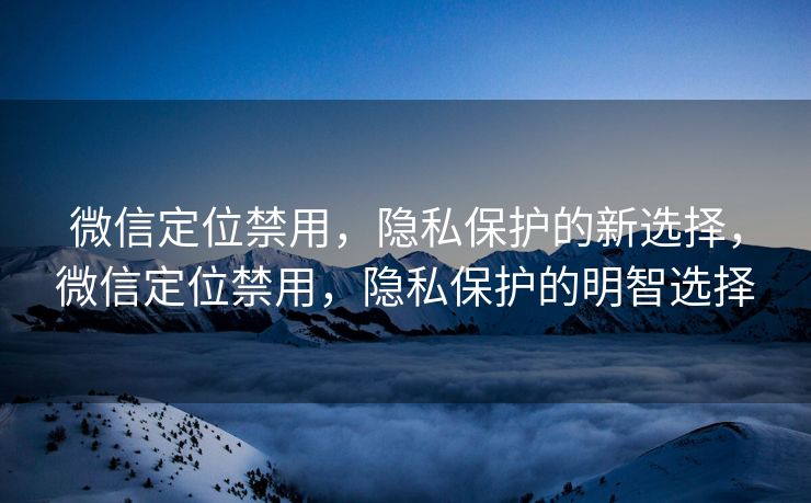 微信定位禁用，隐私保护的新选择，微信定位禁用，隐私保护的明智选择