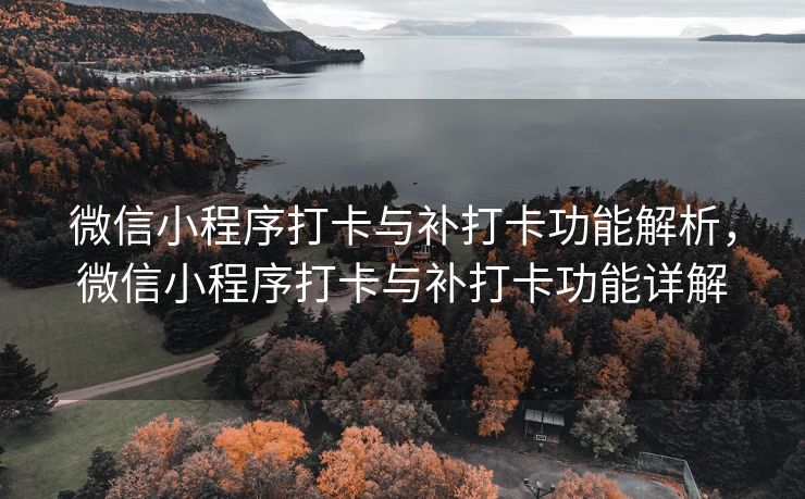 微信小程序打卡与补打卡功能解析，微信小程序打卡与补打卡功能详解