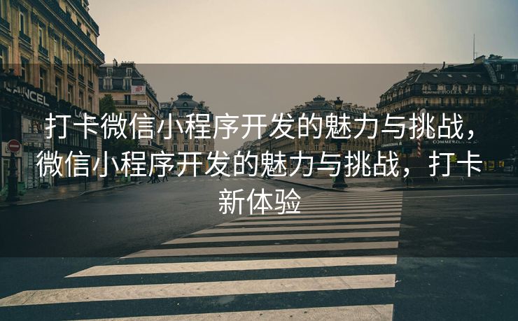 打卡微信小程序开发的魅力与挑战，微信小程序开发的魅力与挑战，打卡新体验