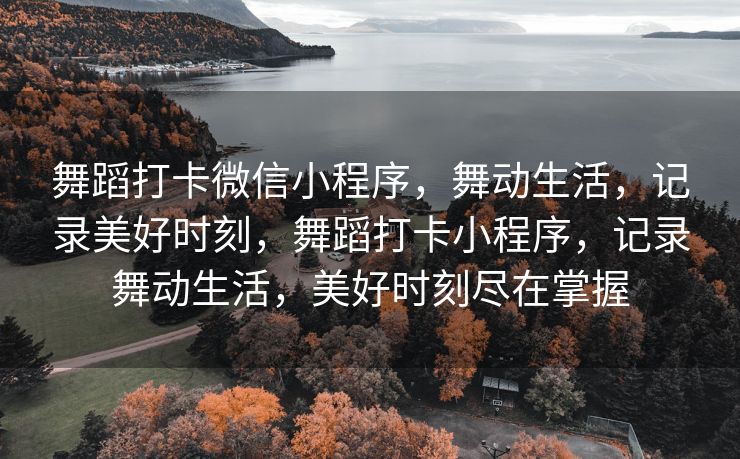 舞蹈打卡微信小程序，舞动生活，记录美好时刻，舞蹈打卡小程序，记录舞动生活，美好时刻尽在掌握