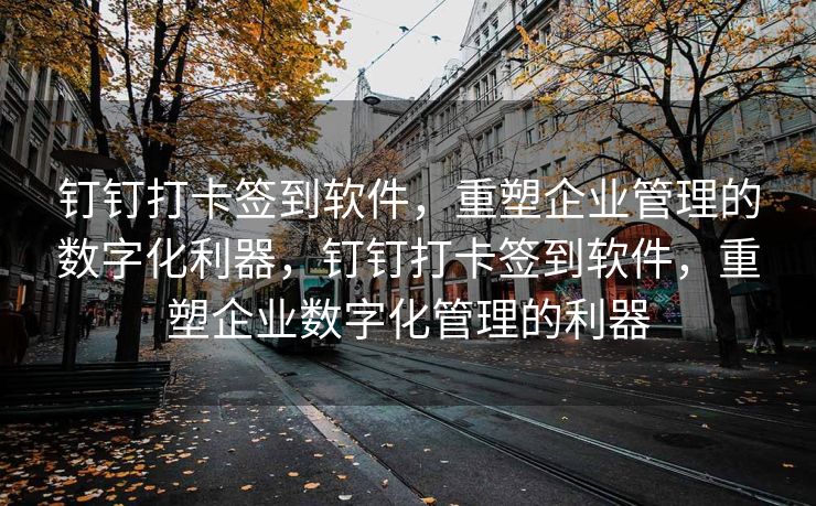 钉钉打卡签到软件，重塑企业管理的数字化利器，钉钉打卡签到软件，重塑企业数字化管理的利器