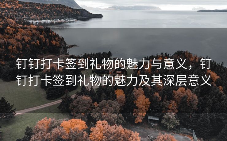 钉钉打卡签到礼物的魅力与意义，钉钉打卡签到礼物的魅力及其深层意义