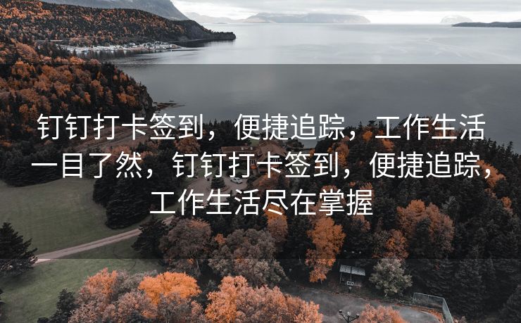 钉钉打卡签到，便捷追踪，工作生活一目了然，钉钉打卡签到，便捷追踪，工作生活尽在掌握