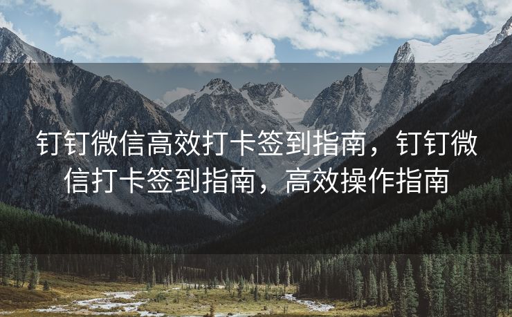 钉钉微信高效打卡签到指南，钉钉微信打卡签到指南，高效操作指南