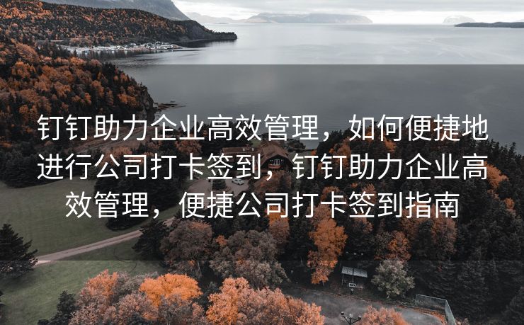 钉钉助力企业高效管理，如何便捷地进行公司打卡签到，钉钉助力企业高效管理，便捷公司打卡签到指南