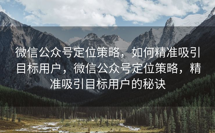 微信公众号定位策略，如何精准吸引目标用户，微信公众号定位策略，精准吸引目标用户的秘诀