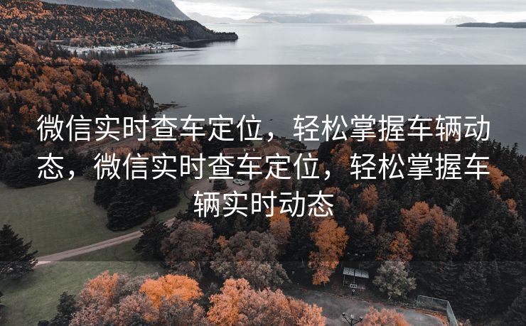 微信实时查车定位，轻松掌握车辆动态，微信实时查车定位，轻松掌握车辆实时动态