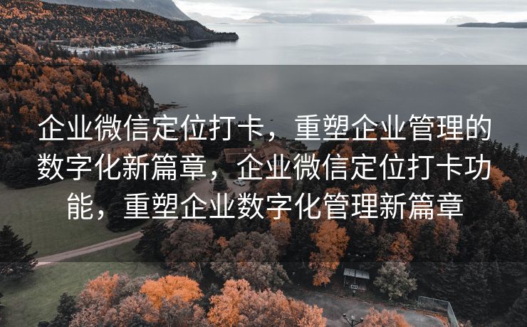 企业微信定位打卡,重塑企业管理的数字化新篇章,企业微信定位打卡功能,重塑企业数字化管理新篇章 企业微信定位打卡,重塑企业管理的数字化新篇章,企业微信定位打卡功能,重塑企业数字化管理新篇章