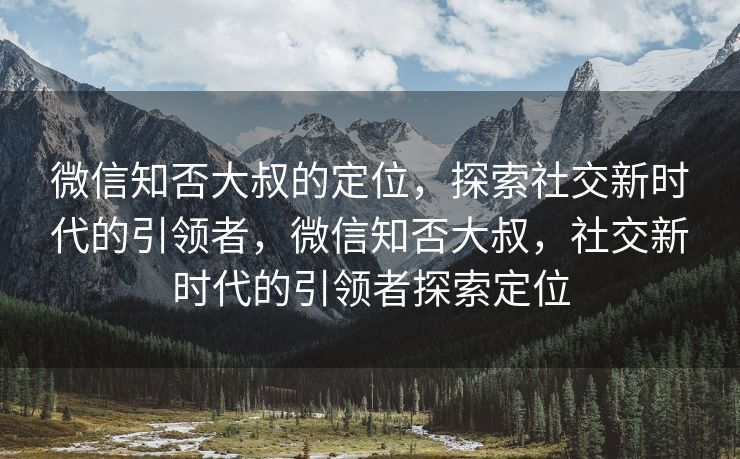 微信知否大叔的定位，探索社交新时代的引领者，微信知否大叔，社交新时代的引领者探索定位