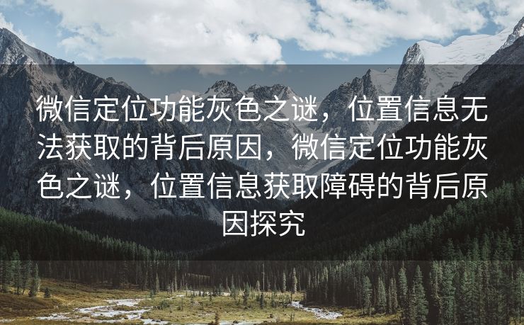 微信定位功能灰色之谜，位置信息无法获取的背后原因，微信定位功能灰色之谜，位置信息获取障碍的背后原因探究