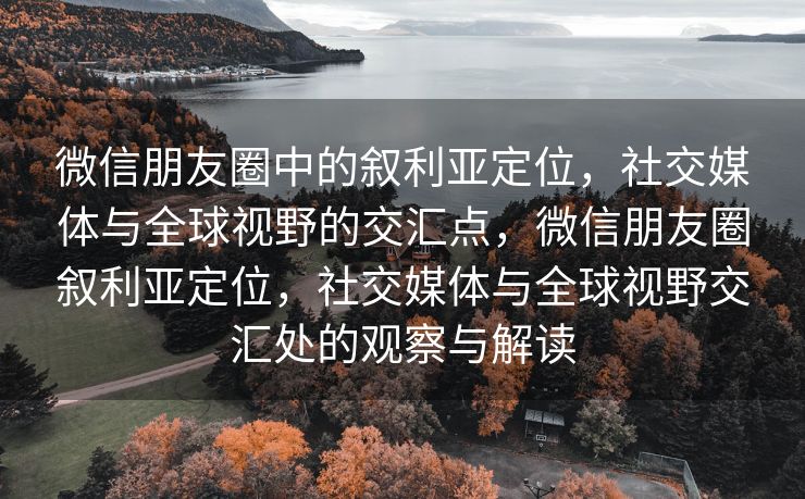 微信朋友圈中的叙利亚定位，社交媒体与全球视野的交汇点，微信朋友圈叙利亚定位，社交媒体与全球视野交汇处的观察与解读