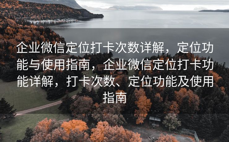 企业微信定位打卡次数详解，定位功能与使用指南，企业微信定位打卡功能详解，打卡次数、定位功能及使用指南