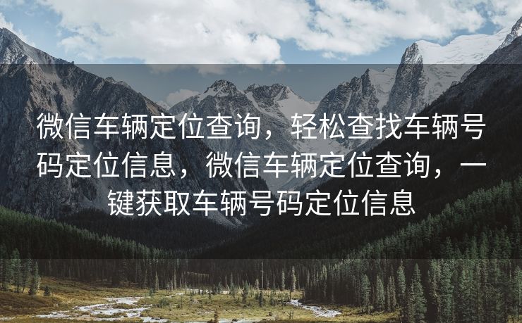 微信车辆定位查询，轻松查找车辆号码定位信息，微信车辆定位查询，一键获取车辆号码定位信息
